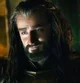 Thorin Oakenshield 