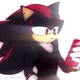SHADOW T HEDGEHOG 