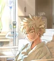 Katsuki Bakugou 