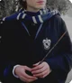 Ravenclaw 
