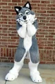 WolfFurryFursuit TF