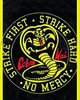 Cobra Kai RP