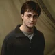 HARRY P