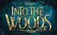 Into The Woods RPG