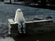 New Ghost