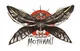 Cult of the mothman