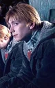 George F Weasley 