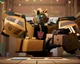 Bumblebee TFES
