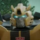 Bumblebee TFES