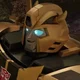 Bumblebee TFES