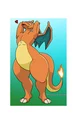 Lukas the charizard