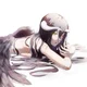 Albedo