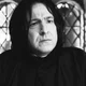 SEVERUS PRINCE SNAPE