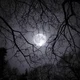 The Moon King