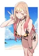 Marin NTR