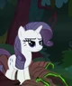 Mean Rarity