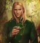 High Lord Tamlin