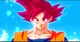 Son Goku SSG