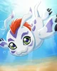 Gomamon