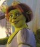Princess Fiona-Shrek