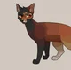 Warrior cats OC