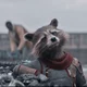 Rocket Raccoon 