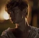 Newt - tmr