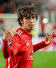 Joao Felix