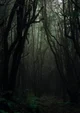 Slenderman Forest 