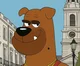 Brown dog
