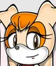 Vanilla the rabbit 