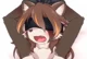 Tied Raccoon