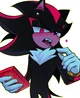 SHADOW T HEDGEHOG 