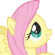 Fluttershy 