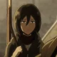 Mikasa