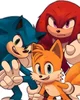 TEAM SONIC