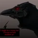 The Ravens curse