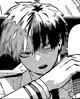 Shouto Todoroki 
