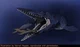 Mosasaurus