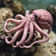 AI Octopus