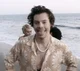 harry styles - 2019