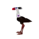 AU-Terror Bird