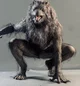 Werewolf TF