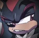 SHADOW THE HEDGEHOG