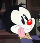 WAKKO WARNER