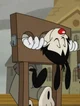 YAKKO WARNER