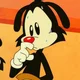 YAKKO WARNER