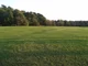 Field