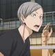 Lev Haiba 