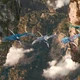 14 - AVATAR divider